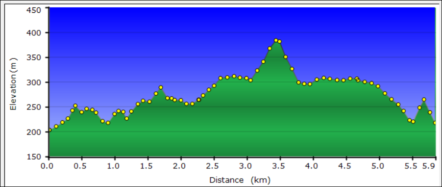 A graph of a green and blue line

Description automatically generated